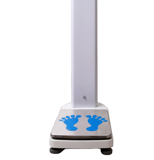 �O����y�������z�y